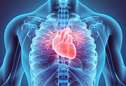 Graphic showing red heart inside blue body